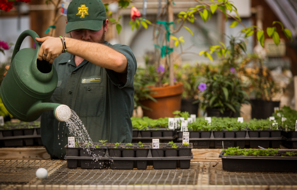 Watering Plants